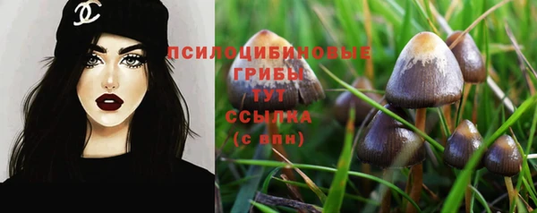 apvp Абинск
