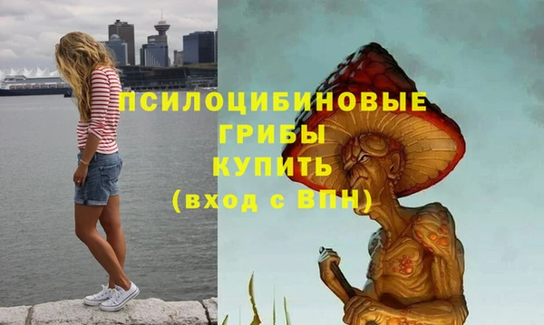 таблы Алзамай