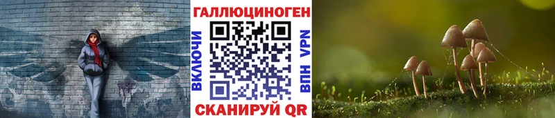 Псилоцибиновые грибы Psilocybe  Батайск 